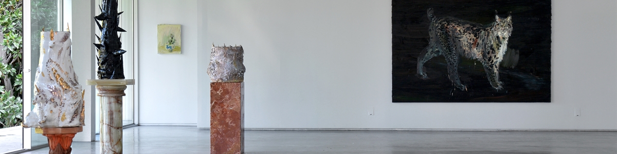 Galeria Javier Lopez & Fer Frances