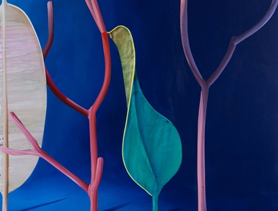Erin Cluley Gallery