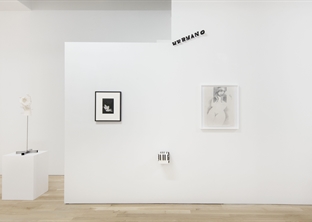 Bienvenu Steinberg and Partner