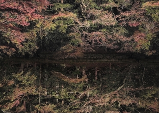 Talley Dunn Gallery