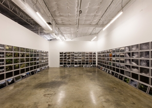 Liliana Bloch Gallery