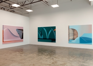Erin Cluley Gallery