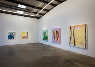 Erin Cluley Gallery