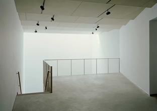 Thierry Goldberg Gallery
