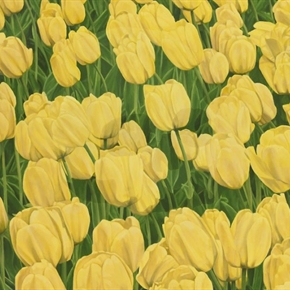 The 17th Edition of Dallas Art Fair is One of Discovery